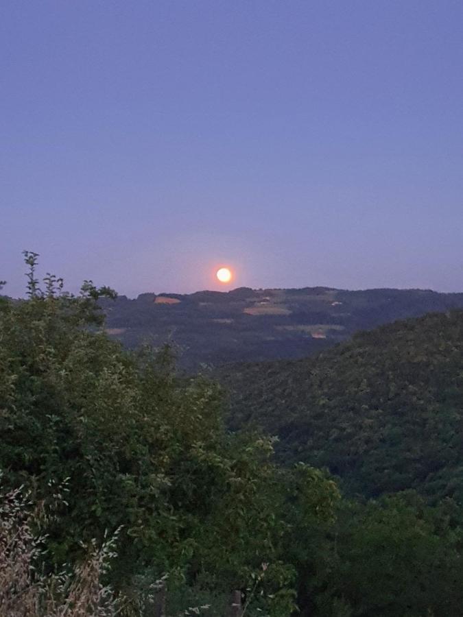 Cascina Brichat Alta Langa Serravalle delle Langhe Экстерьер фото
